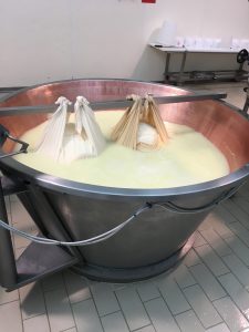 Parmigiano Reggiano Dop nell'Azienda Agricola Bertinelli