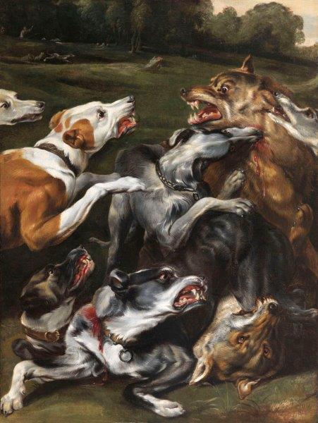 Frans Snyders, Combattimento Tra Cani E Lupi. Inghilterra, Collezione Privata