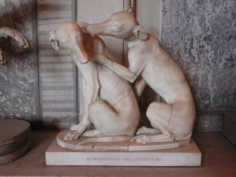 8. Inv. 430, Gruppo Con Due Cani Levrieri Che Si Leccano (II Sec. D.C.) – Sala Degli Animali