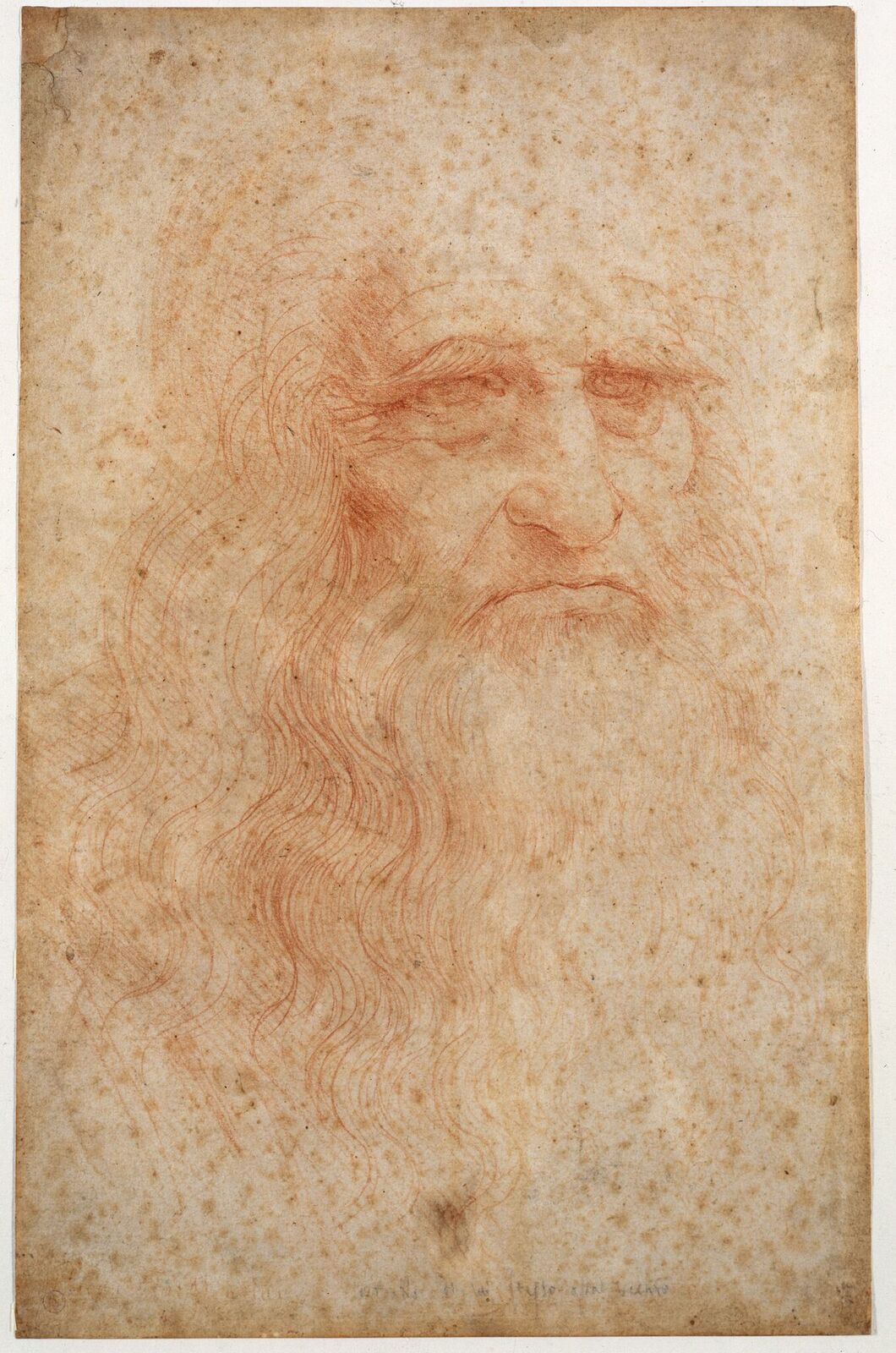 Leonardo Da Vinci: Autoritratto - Ph Mrt