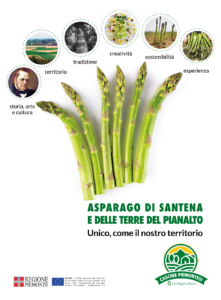 L'asparago di Santena e delle Terre del Pianalto -ph Ufficio Stampa